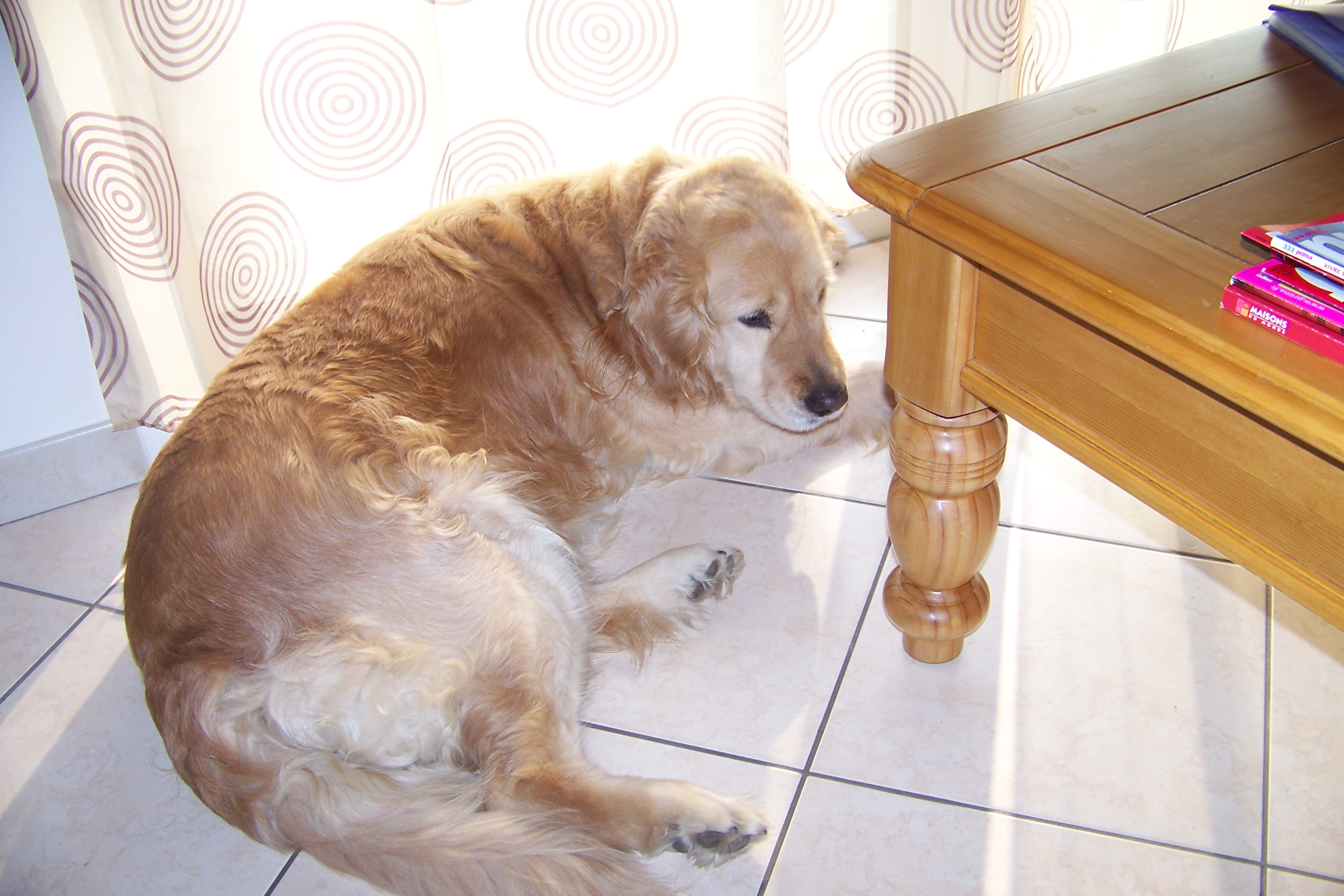 100_4037.JPG